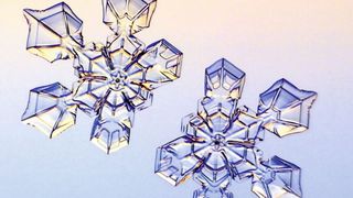 Im Labor gezüchtete frustrierte Eiskristalle (Bild: Ken Libbrecht/Caltech)