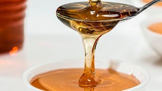 Schweizer Forscher haben untersucht, wie Bienen den Zuckergehalt des produzierten Honigs überwachen. (gemeinfrei)