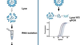 Abb. 3: Workflow des vereinfachten Volcano-3G- Direktansatz im Vergleich zum Standardverfahren (Bild: Universität Konstanz)