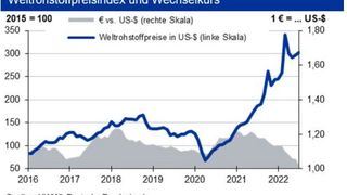 Nach zuletzt leicht sinkenden Rohstoffpreisen könnte ein heißer Herbst mit anziehenden Preisen drohen. (Quellen:HWWI; Deutsche Bundesbank)