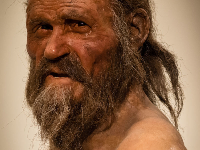In der Rekonstruktion hat Ötzi leicht lachen. In der Realität quälten ihn wahrscheinlich Magenprobleme. Das ergab die Genomanalyse seiner Magenbakterien. (Bild: © Wikimedia/Thilo Parg/CC BY-SA 3.0)