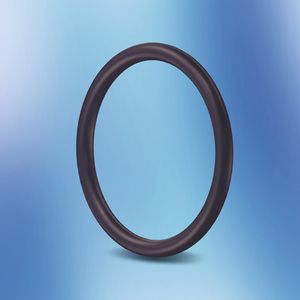 (Bild: Freudenberg Sealing Technologies)
