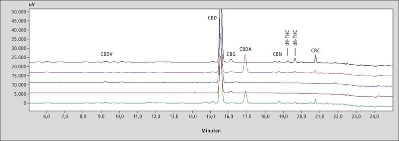 Abb.2: Chromatogramme der fünf CDB-Öle mit hohem Injektionsvolumen