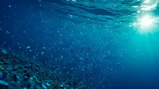 Ein Forschungsteam der Leibniz Universität Hannover arbeitet an einer umweltfreundliche Technologie, um Kunststoffpartikel mit intelligentem Material abzubauen.  (Bild: © PSergey - stock.adobe.com)