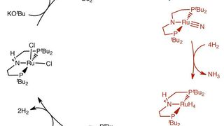 Reaktionsschema der Ammoniaksynthese  (Bild: Goethe-Universität Frankfurt)