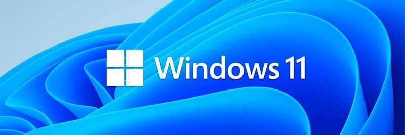 Windows 11: Nahezu alle Unternehmen sehen einen Mehrwert im neuen Betriebssystem.