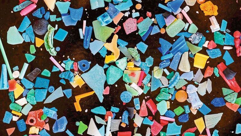 Mikroplastik findet man in allen möglichen Farben und Formen. (Bernd Nowack / Empa)