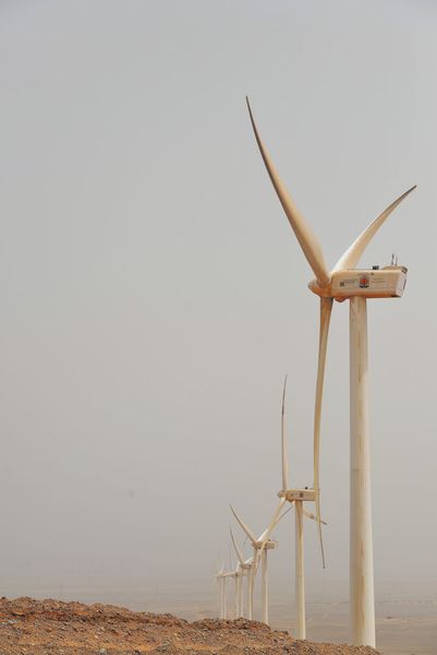 Die Windkraftanlagen sind zu Reihen aufgestellt und werden durch einen konstanten Nordostwind gespeist. (Bild: Isenburg)