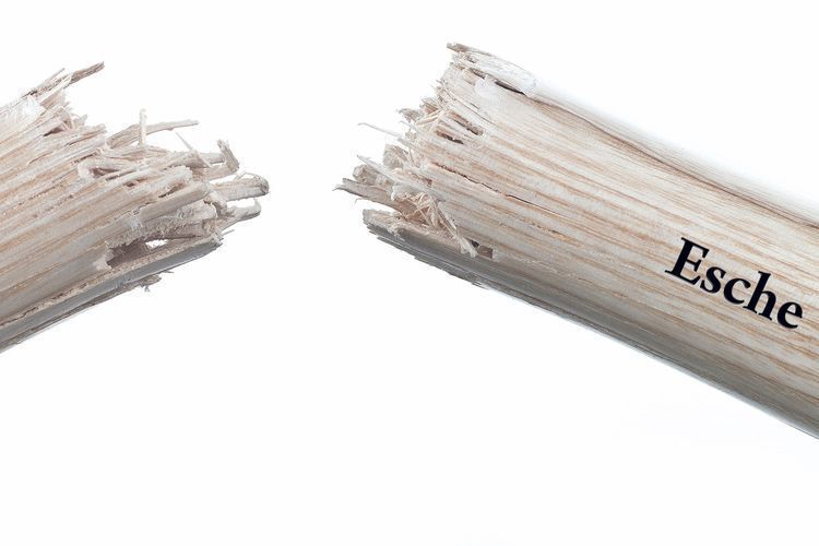 Normale Eschenstiele brechen oft schlagartig, meist fliegt der Hammerkopf durch die Gegend. (Foto: Hazet)