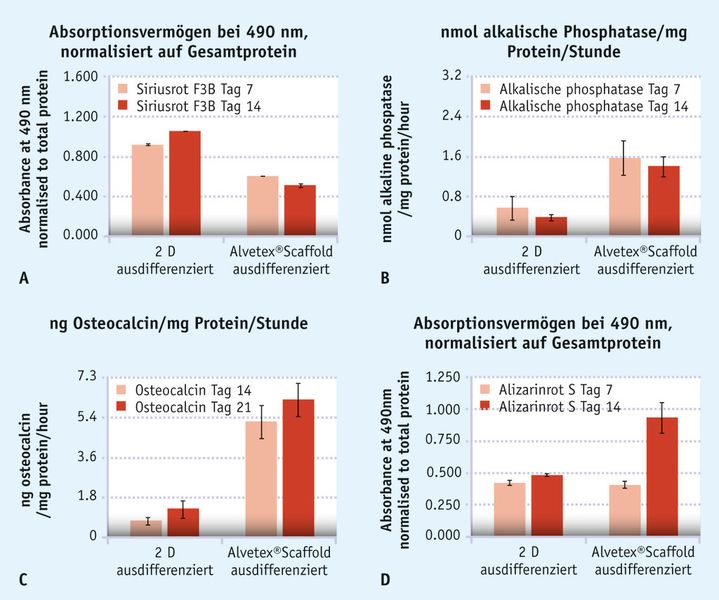 Abb. 2: Das Zellwachstum in Alvetex-Scaffold verbessert die osteogene Differenzierung der MSCs von Ratten im Vergleich zu einer konventionellen 2D-Kultur. (Bild: Fisher Scientific)