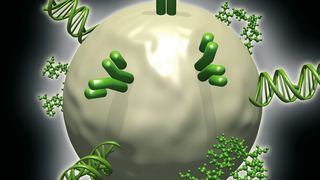 Prinzip der Konjugation von Nanopartikeln mit Funktionsmolekülen  (Bild: Particular GmbH)