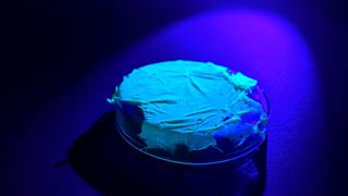 Eingesponnen in ein Polymervlies, fluoresziert die Aluminiumverbindung immer noch mit 90 Prozent Quantenausbeute.  (Bild: Jürgen Scheere/Universität Jena)