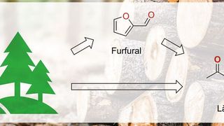 Abb. 1: Holz als Rohstoffquelle für Lävulinsäure (©Milan - stock.adobe.com; LIKAT)