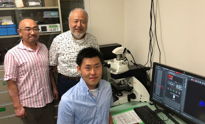 Takafumi Fujimoto, Katsutoshi Arai and Masamichi Kuroda of the research team (from the left). (Hokkaido University)