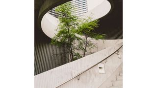 The Green Deal aims to tackle problem which have been neglected for far too long. (Alexander Abero (Unsplash))