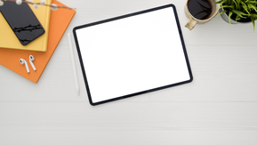 Forcepoint2409 (Canva)