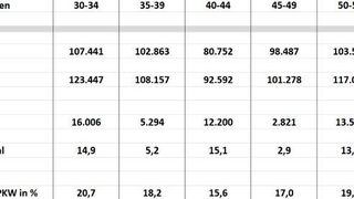 Die aktuellen Zulassungszahlen für Pkws älter als 30 Jahre mit H-Kennzeichen. (Bild: Deuvet)