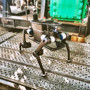 (ETH Zürich/ Robotic Systems Lab)