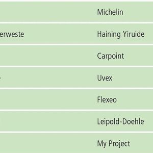 Die Mehrheit der Exemplare im Test schnitt gut ab.(Bild:  ACE)