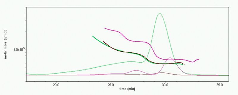 Abb. 2: Ausschlusschromatographie, kombiniert mit Mehrwinkel-Lichtstreuung (SEC-MALS); gezeigt sind die Resultate für das rekombinante Protein bei zwei unterschiedlichen Konzentrationen (grün und braun). Unterlegt sind die Daten hier mit SEC-MALS-Signalen für Rinder-Serumalbumin (BSA, violett). (Bild: Wyatt Technology)
