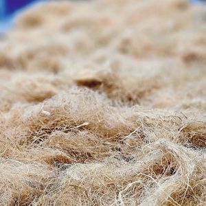 Hanffasern statt Glasfasern: Biogene Reststoffe können in SMCs Kunstfasern ersetzen, deren Herstellungsprozess energieintensiv ist. Im Bild: Gröbere Hanffasern auf dem Förderband vor dem Aufschließen und Verbinden mit der Matrix.(Bild:  Fraunhofer IWU)