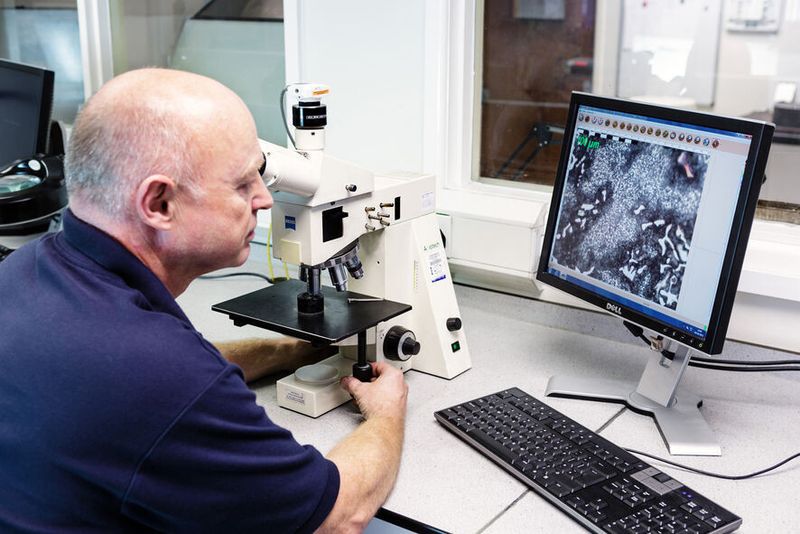 Federal-Moguls tiefes Verständnis der Pulvermetalltechnologie und ein großes Werkstoffportfolio unterstützen Hersteller bei der Entwicklung zukünftiger Motoren. (Bild: Federal Mogul)