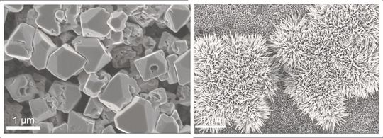Im Rasterelektronenmikroskop sieht man die Kupfer-Kathode bei geringer Kalium-Konzentration (l.) und bei höherer Kalium-Konzentration (r.) im Elektrolyten.(Bild:  HZB)