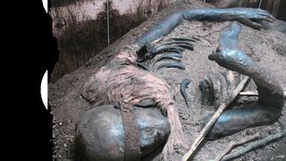 1	 Um das Alter solcher Moorleichen mit der C14-Methode zu bestimmen, ist eine genaue Thermostatisierung von großer Wichtigkeit. (Archiv: Vogel Business Media)