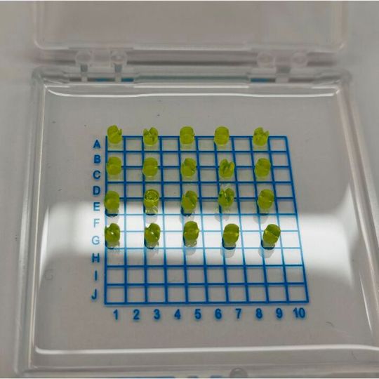 Die Mikro-3D-gedruckten Düsen in der Größe von 2,4 x 2,4 x 2 Millimetern wurden in einer Charge zu 18 Stück in rund fünf Stunden gedruckt.(Bild:  Boston Micro Fabrication)