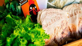 Der „Smartcooler“ von Ecocool wurde für den Versand von temperatursensiblen, frischen Lebensmitteln konzipiert. (Ecocool)