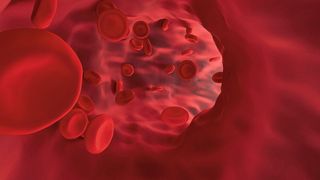 Normalerweise vermehren sich Blutzellen strikt kontrolliert (Symbolbild). Bei der akuten myeloischen Leukämie (AML) ist dieser Prozess jedoch außer Kontrolle und bringt zahlreiche funktionsunfähige Blutkörperchen hervor. (gemeinfrei, Vector8DIY)