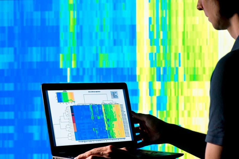 Data processing, analysis and evaluation are unified in a single user interface. (Fraunhofer IME/ Bernd Müller)