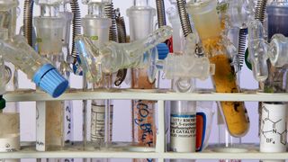 Auswahl an verschiedenen Katalysatoren aus Likat-Laboren (Nordlicht Likat)