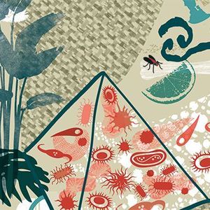 To date, the textile reactor has been tested in different markets in the world, and the technology has evolved along the way. The latest market test was India.