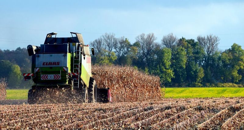 Green Plains and Novozymes partner in protein production. (Public Domain)