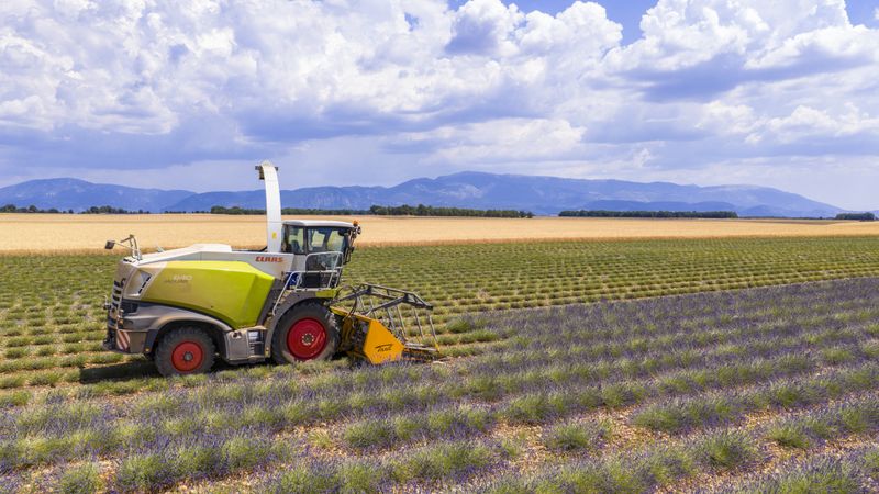 Innovation auf dem Feld und in der Fabrik: Claas nutzt moderne IoT-Strukturen, um die Produktion seiner Landmaschinen weltweit zu vernetzen und effizienter zu gestalten.  (Bild:  © iStock Sjo (2026))