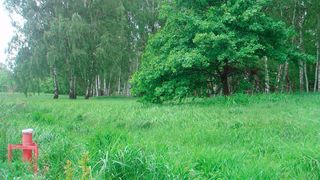 Grundwassermessstelle im HCH-kontaminierten Flutgebiet der Mulde/Spittelwasser (UFZ/Archiv)