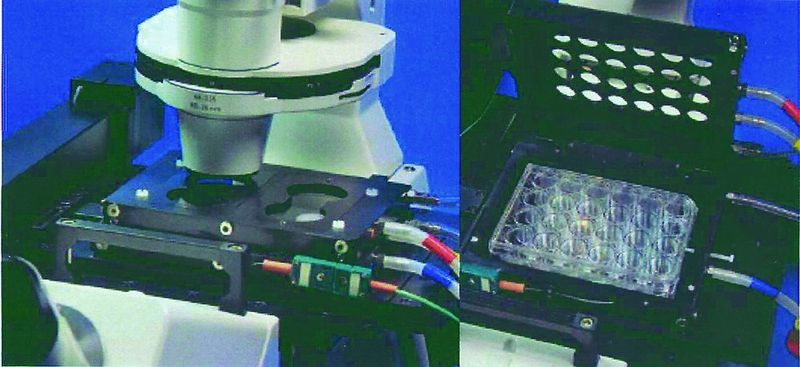 2  Der Okolab-Inkubator auf dem Mikroskoptisch mit Versorgungssystem. Der Inkubator ermöglicht die Aufnahme verschiedener Zellkulturplatten. (Archiv: Vogel Business Media)