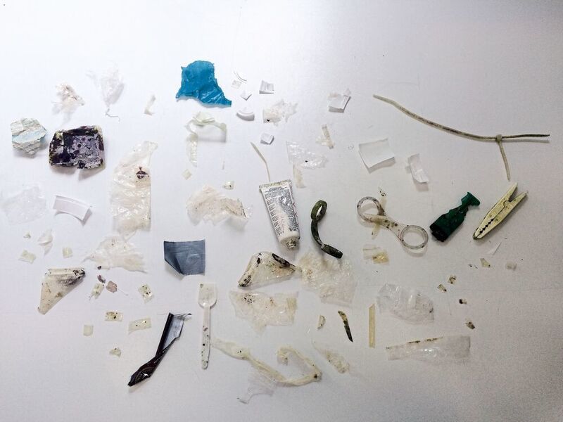 Abb.2: Unterschiedlichstes Plastikmaterial, das an der Oberfläche treibend in der Adria aufgesammelt wurde. (Maria Pinto)