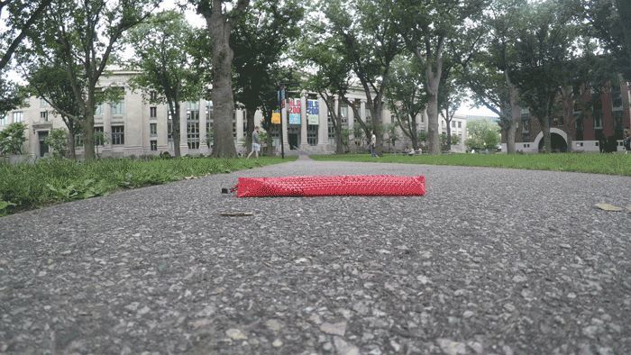 Der Roboter könnte einmal dazu genuttz werden, in unzugänglichen Regionen voranzukommen und z.B. nach Objekten oder Menschen zu suchen. (Ahmad Rafsanjani/Harvard SEAS)