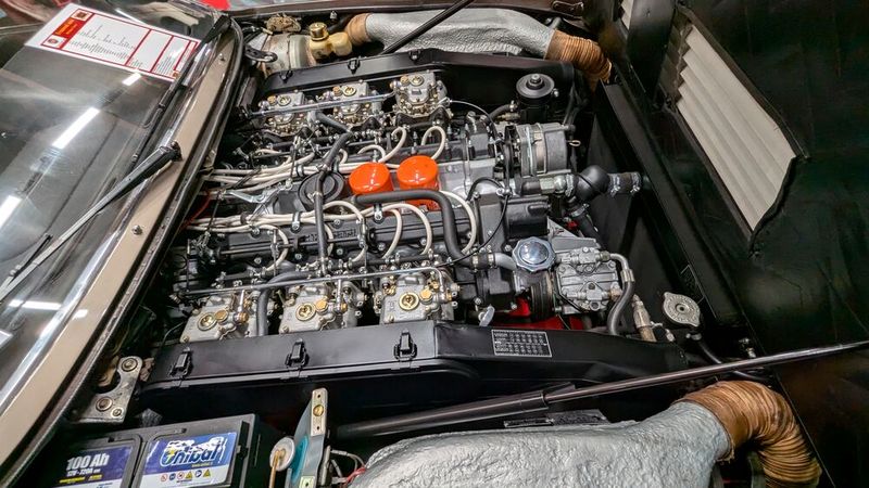 Na schauen Sie sich doch das mal an! Ein Gedicht, oder? (Bild: Dominsky)