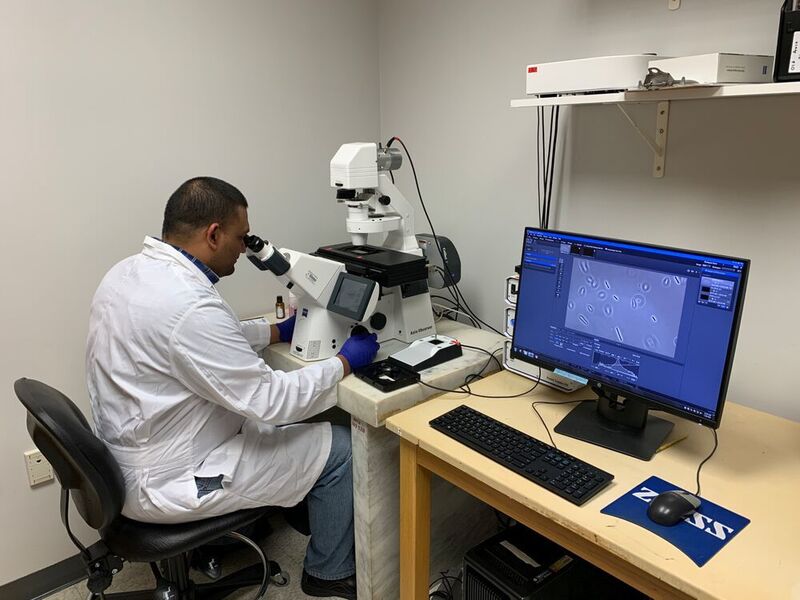 Karthik Chamakura, Ph.D., postdoctoral research associate with the Center for Phage Technology at Texas A&M University, was the study’s first author.  (Texas A&M Agri Life )