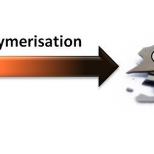 (Bild: Julian Linshöft)