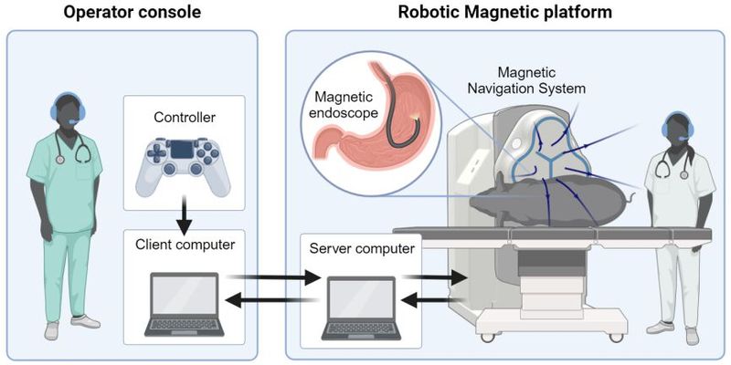 Diese Abbildung zeigt, wie eine ferngesteuerte Endoskopie funktioniert.  (Bild: Wiley, Advanced Intelligent Systems)