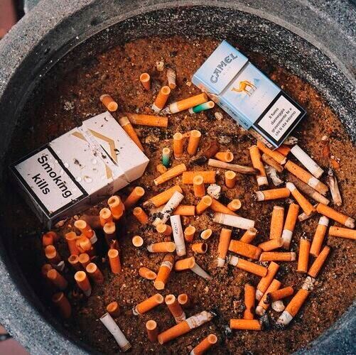 how much marlboro cigarettes cost Marlboro Black 100's Cigarettes - 20 Count