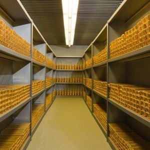 In Zukunft soll mehr Gold in Frankfurt gelagert werden. Neubauten seien nicht nötig, erfuhr MM Logistik von der Bundesbank.