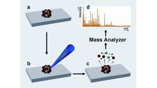 1	 Das Funktionsprinzip der MALDI-MS-Methode. (Bilder: Max-Planck-Institut für chemische Ökologie) (Archiv: Vogel Business Media)