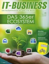 IT-BUSINESS 8/2020 (IT-BUSINESS)