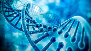 0106141544 (Bild: DigitalGenetics - stock.adobe.com)