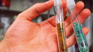 Die Leiterplatte vor (r.) und nach dem Biodismantling (l.) (Bild: TU Bergakademie Freiberg)